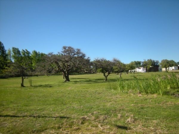 Urbanización Verdemora, barrio privado, Punta Ballena